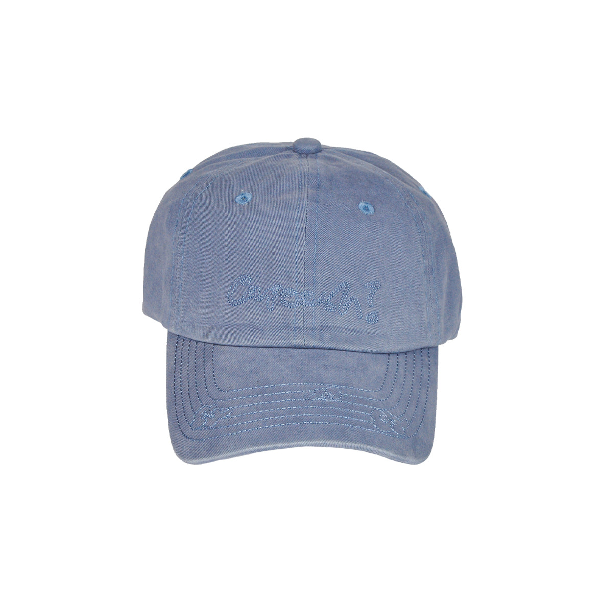 dad hat - washed